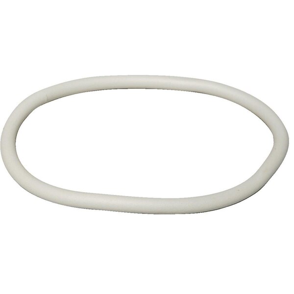 Birchmeier Birchmeier Birchmeier Sprayer Parts - Lid Gasket 144-129-01 - main